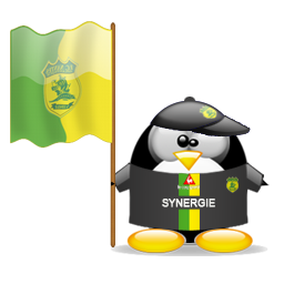 penguin pingouin pinguino 462